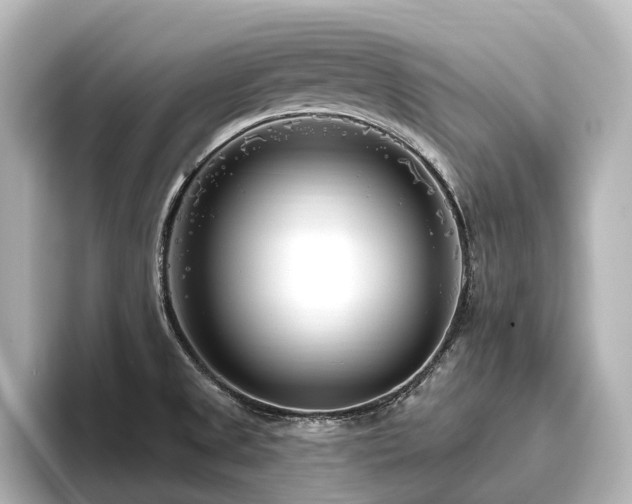 X0000096451525200801241408
