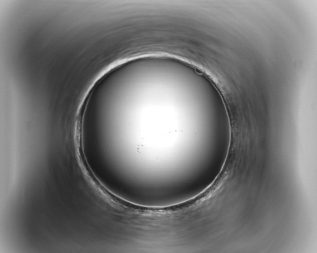 X0000096451526200801241408