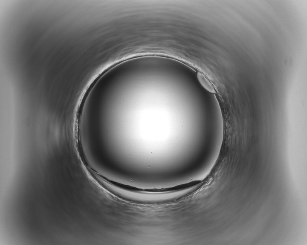 X0000096451527200801241408