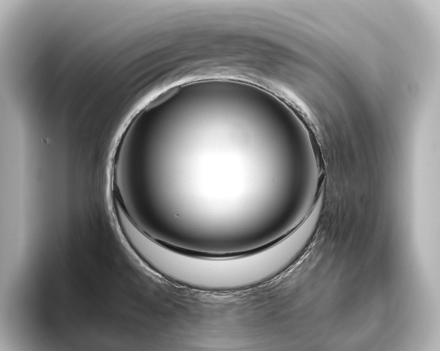 X0000096451528200801241408