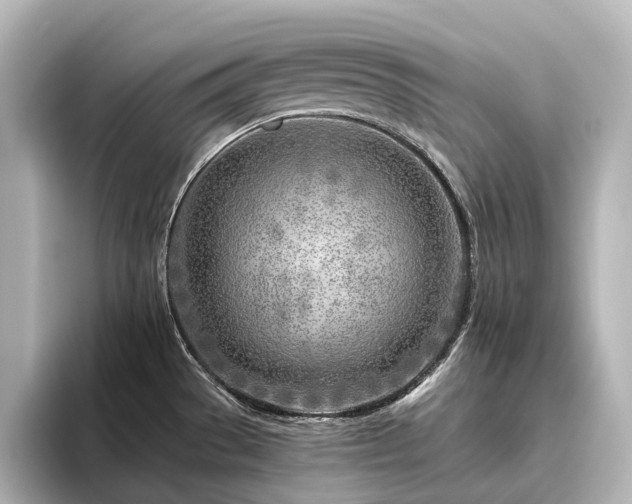 X0000096451529200801241408