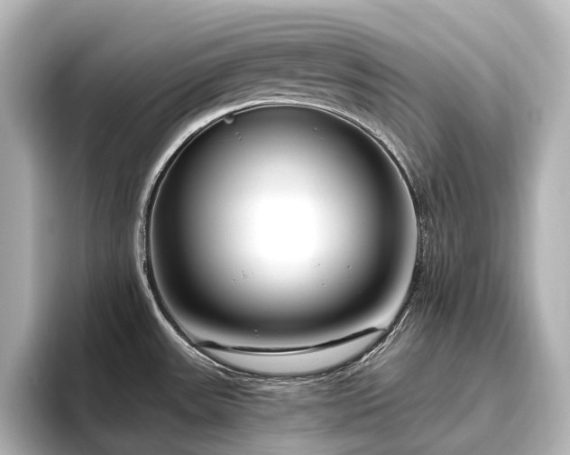 X0000096451531200801241408