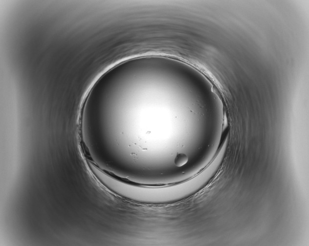 X0000096451532200801241408