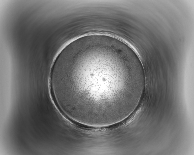 X0000096451533200801241408