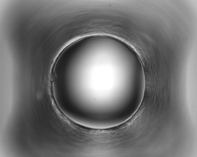 X0000096451534200801241408