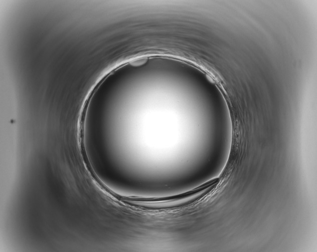 X0000096451535200801241408