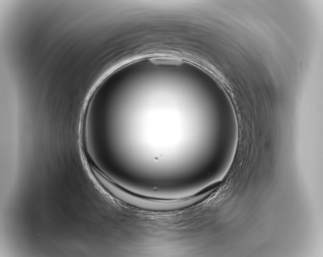 X0000096451536200801241408