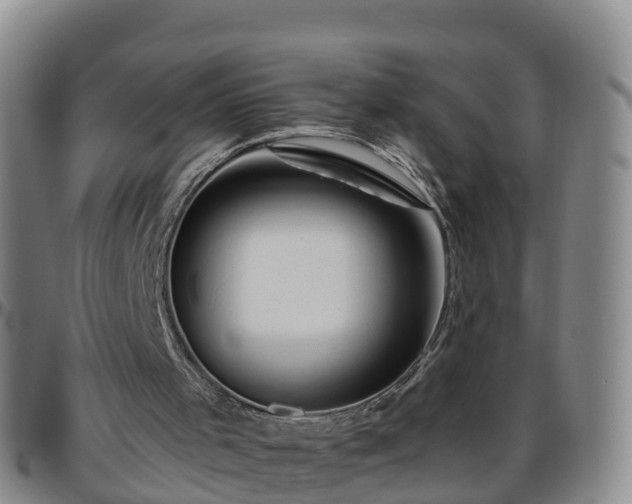 X0000096450001200801311500