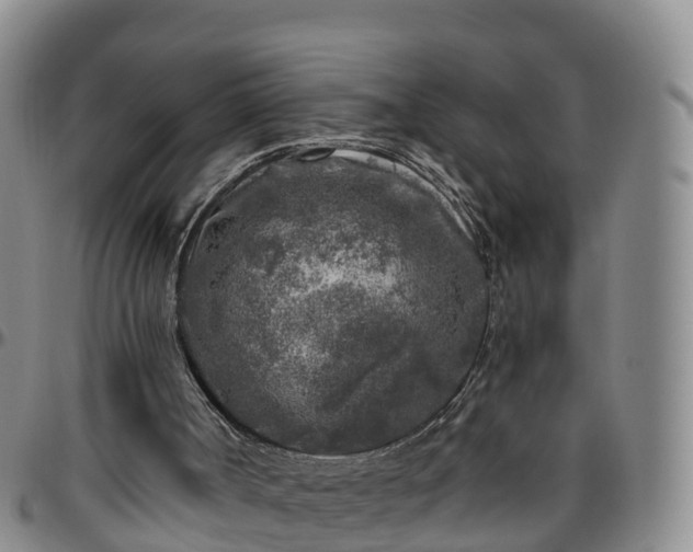 X0000096450002200801311500