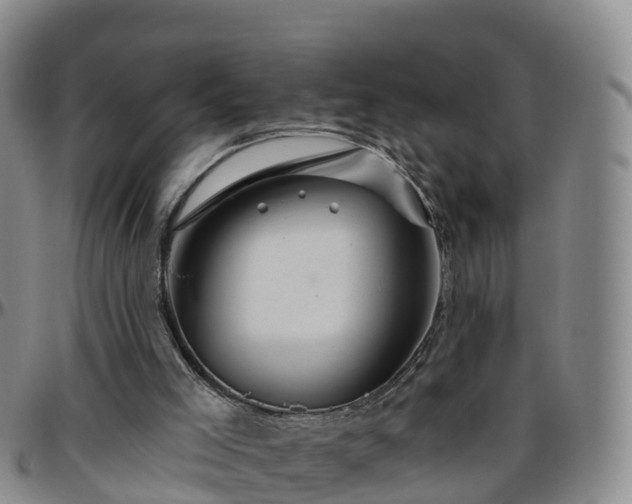 X0000096450005200801311500