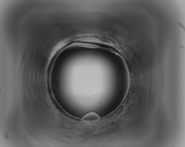 X0000096450006200801311500