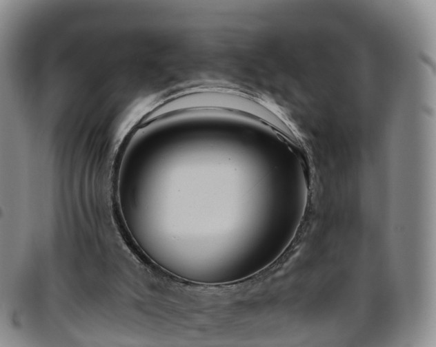 X0000096450007200801311500