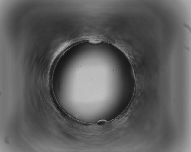 X0000096450008200801311500