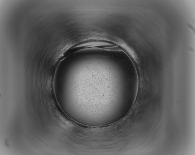 X0000096450009200801311500