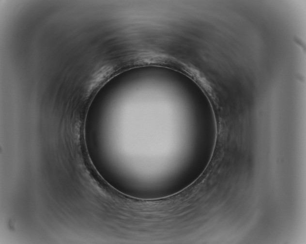 X0000096450010200801311500