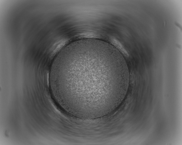 X0000096450014200801311500