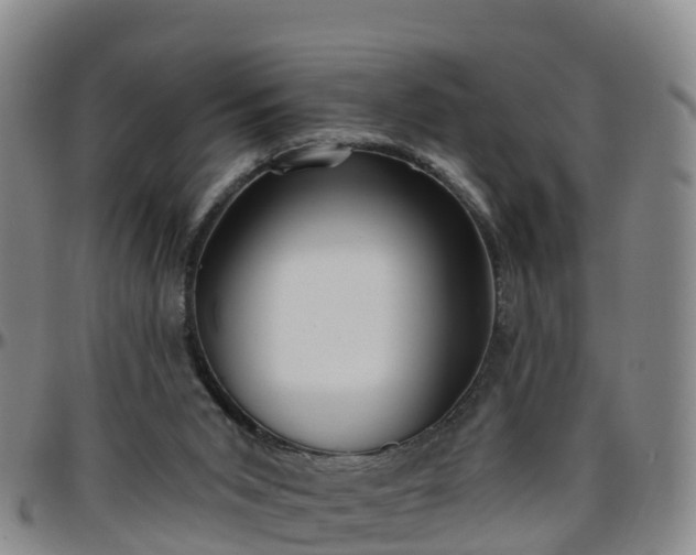 X0000096450015200801311500