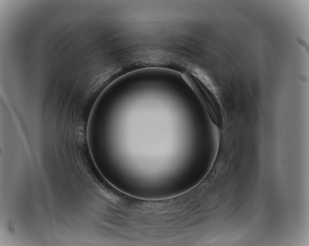 X0000096450017200801311500