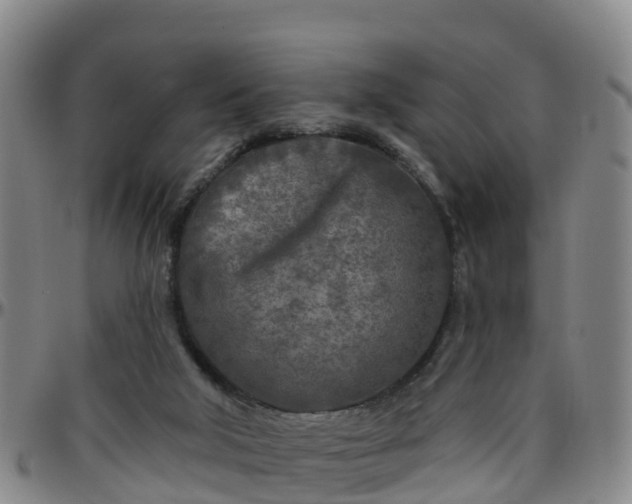 X0000096450018200801311500