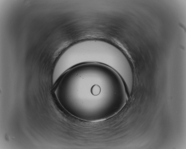 X0000096450019200801311500