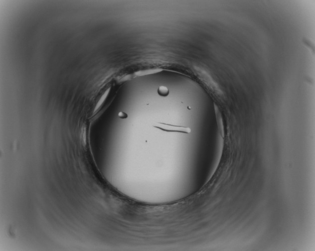 X0000096450021200801311500