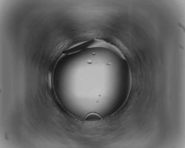 X0000096450022200801311500