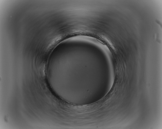 X0000096450023200801311500