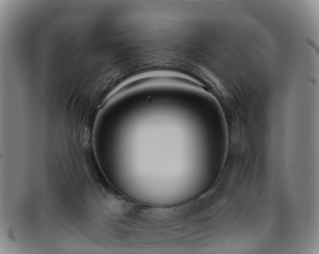 X0000096450025200801311500