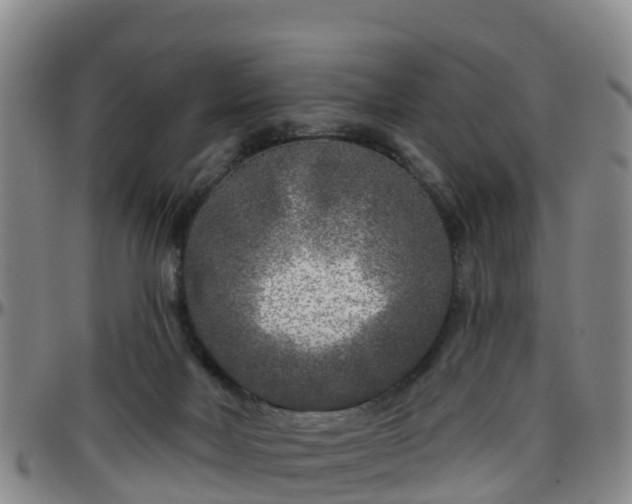 X0000096450026200801311500