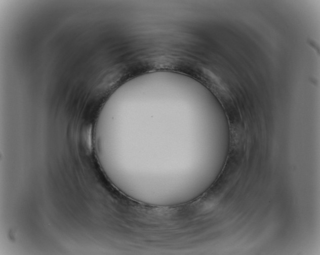 X0000096450028200801311500