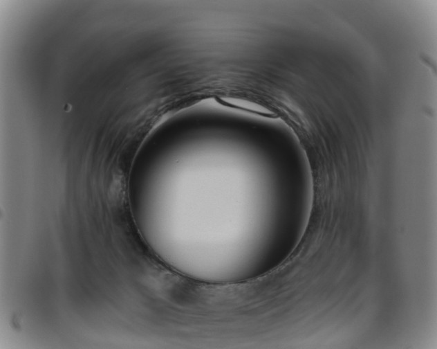 X0000096450029200801311500