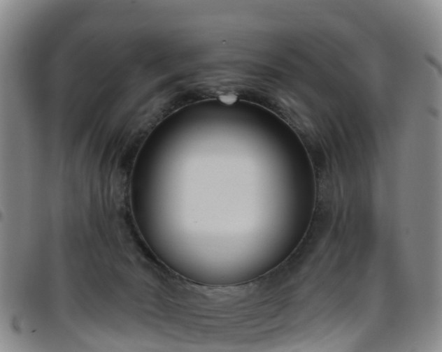 X0000096450030200801311500