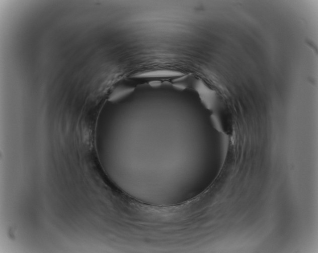 X0000096450031200801311500