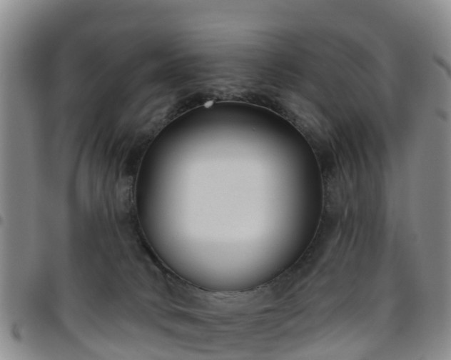 X0000096450034200801311500