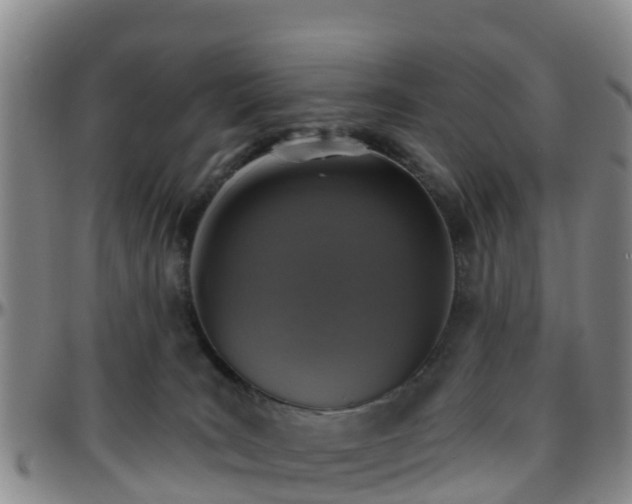 X0000096450035200801311500