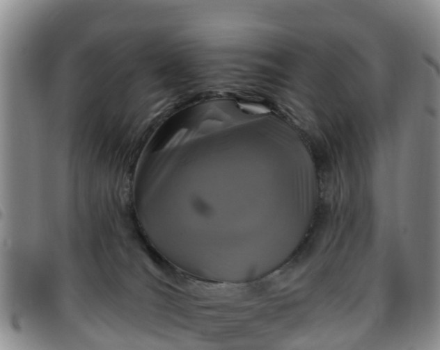 X0000096450036200801311500