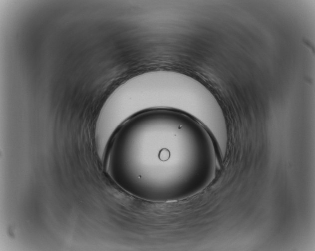 X0000096450037200801311500