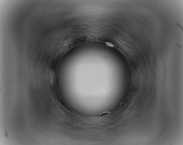 X0000096450038200801311500