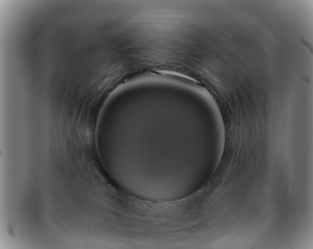 X0000096450039200801311500