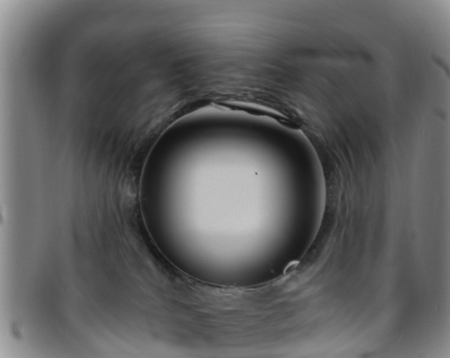 X0000096450040200801311500