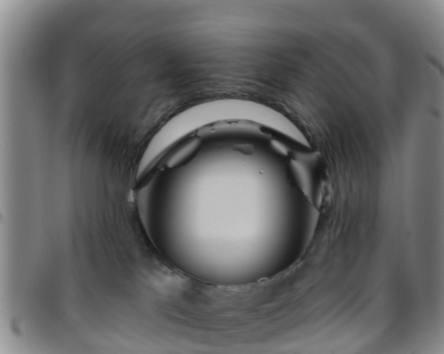 X0000096450041200801311500