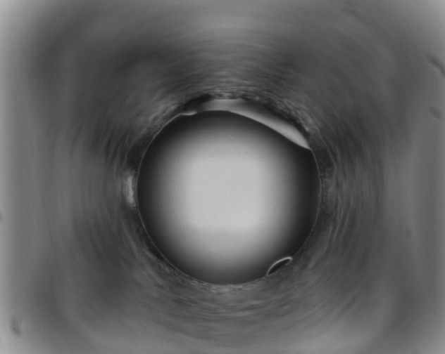 X0000096450042200801311500