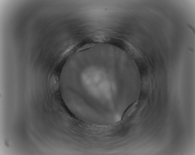 X0000096450043200801311500