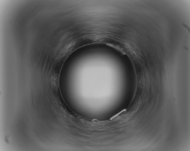 X0000096450044200801311500