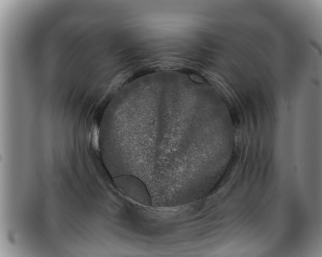 X0000096450046200801311500