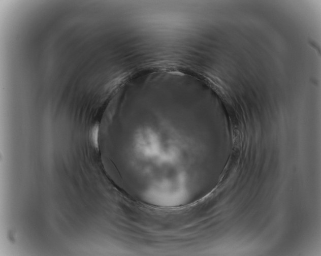 X0000096450047200801311500