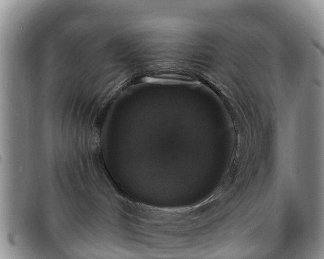 X0000096450048200801311500