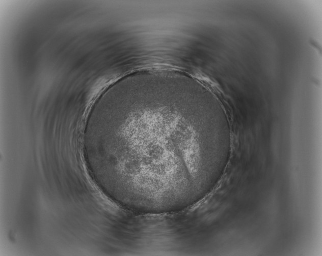 X0000096450049200801311459