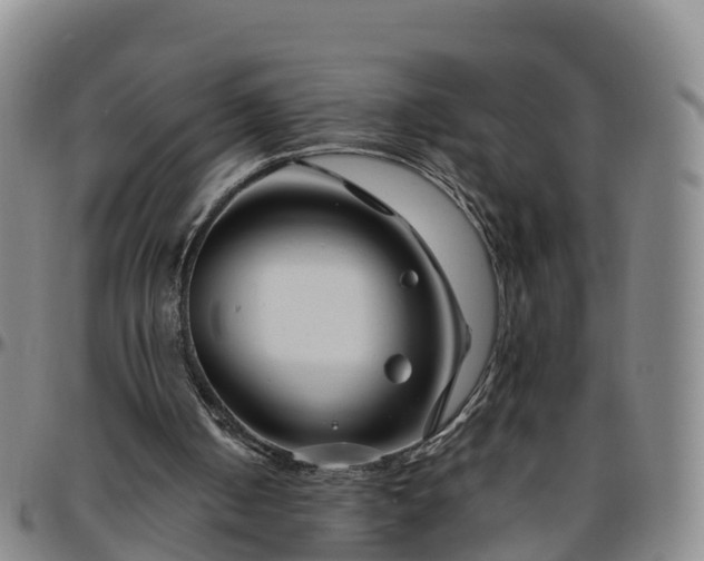 X0000096450050200801311459