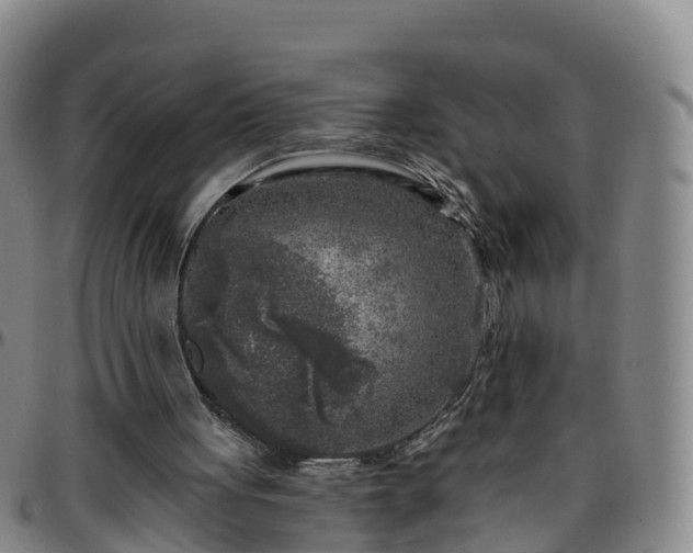 X0000096450051200801311459